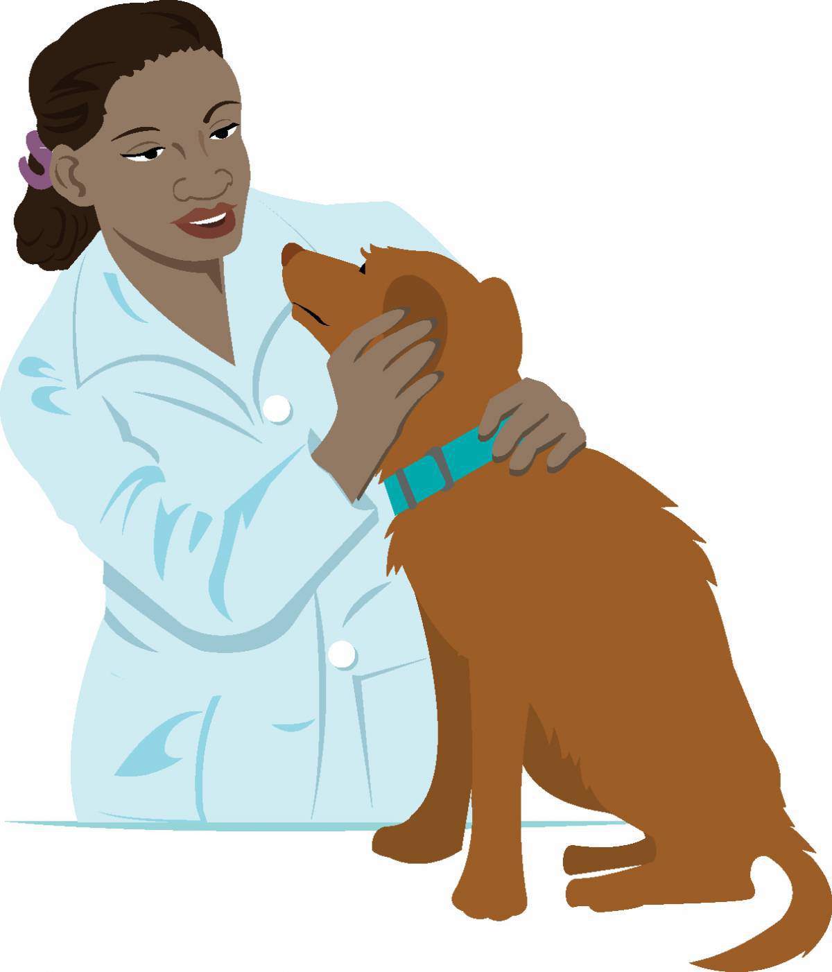 Ветеринар для детей #25