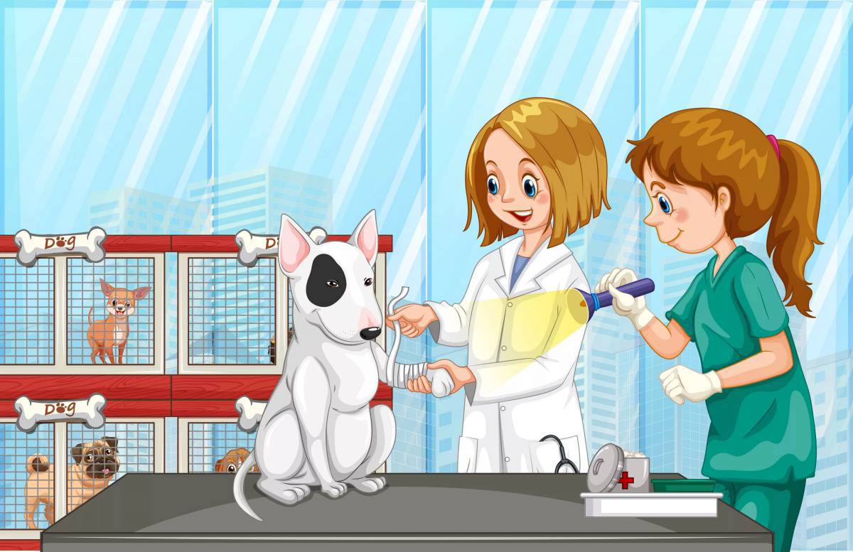 Ветеринар для детей #34