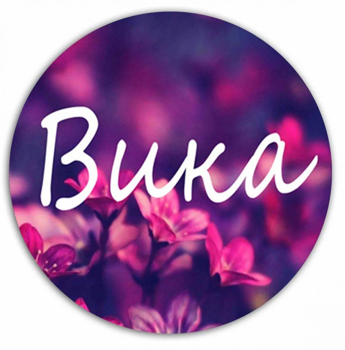 Вика #24