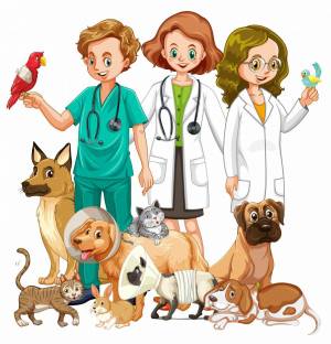 Раскраска ветеринар для детей #1 #234591