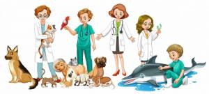 Раскраска ветеринар для детей #4 #234594