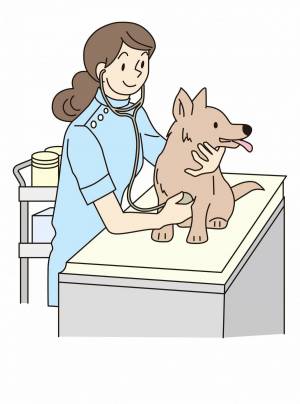 Раскраска ветеринар для детей #17 #234607