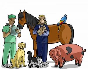 Раскраска ветеринар для детей #21 #234611