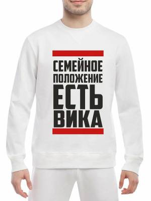 Раскраска вика #6 #235913