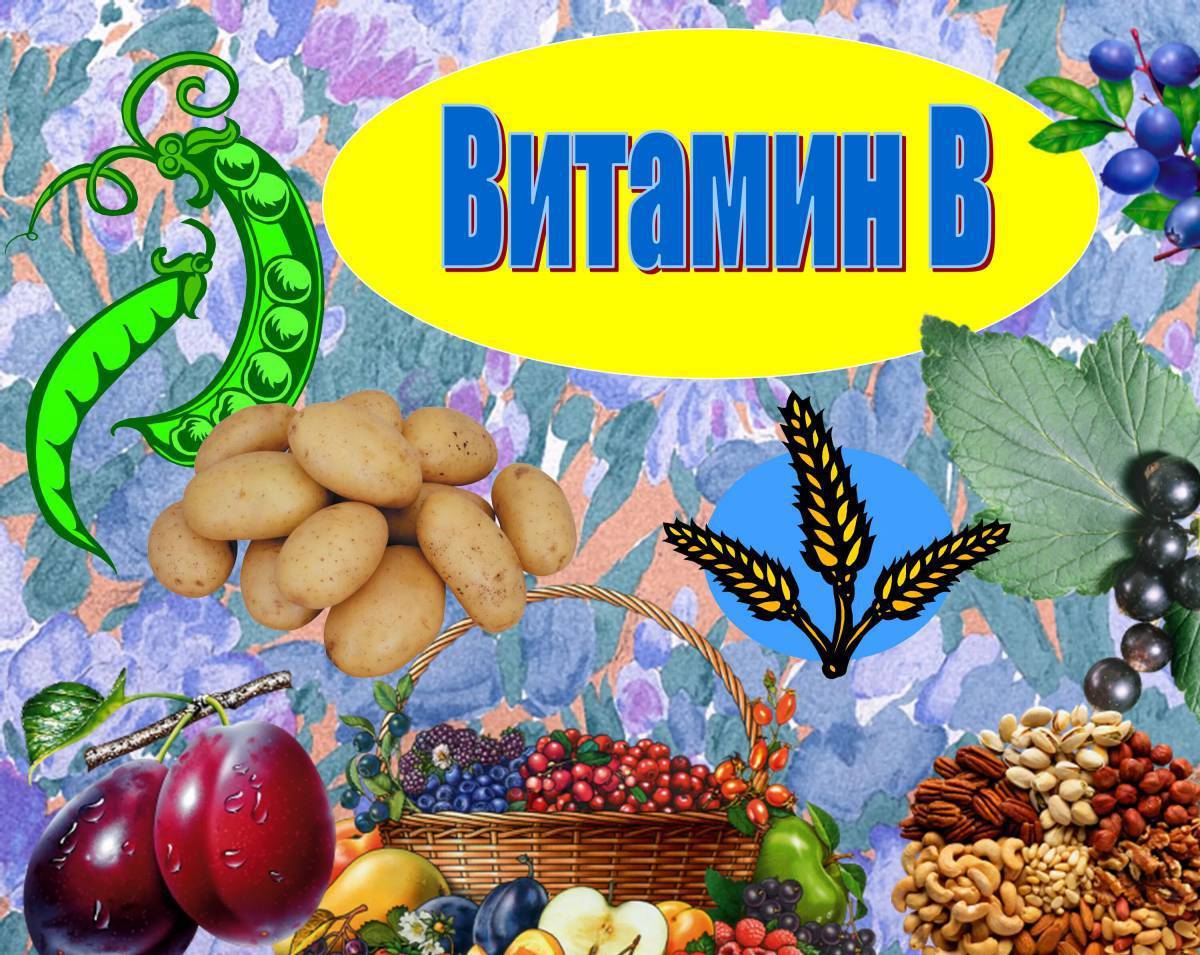 Витамины проект для детей