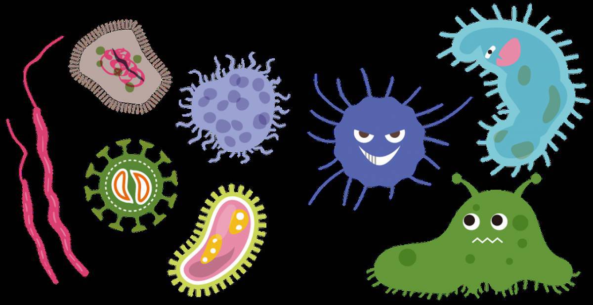 Вирусы и микробы для детей #16
