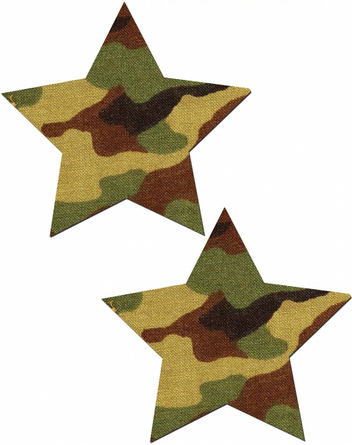 Военная звезда #31