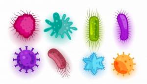 Раскраска вирусы и микробы для детей #3 #237018