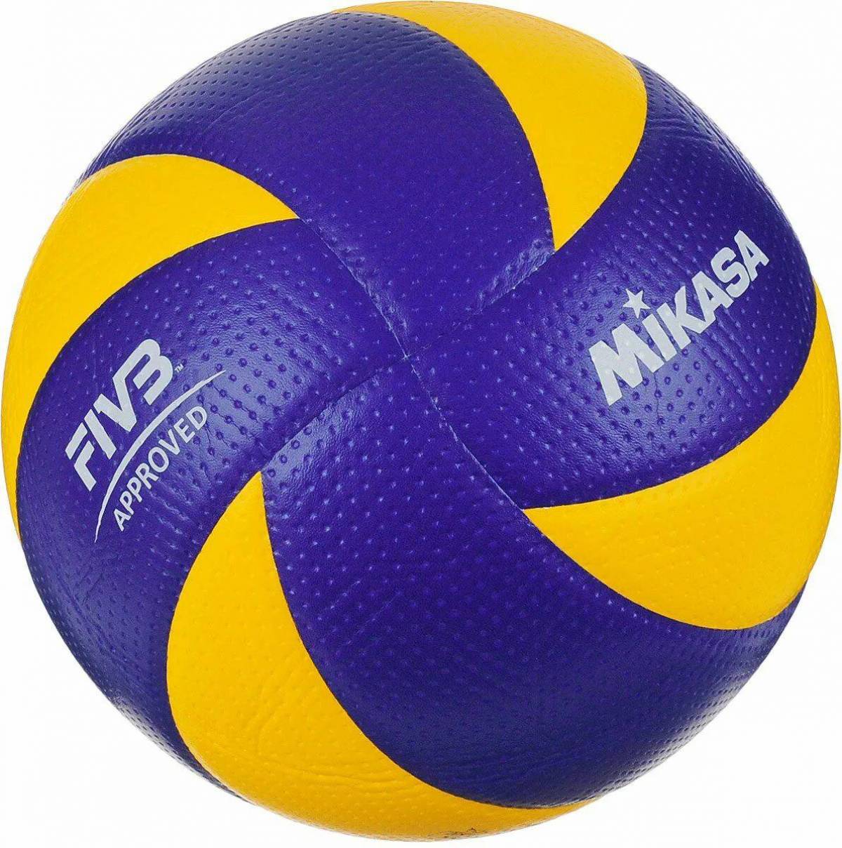 Волейбольный мяч #1