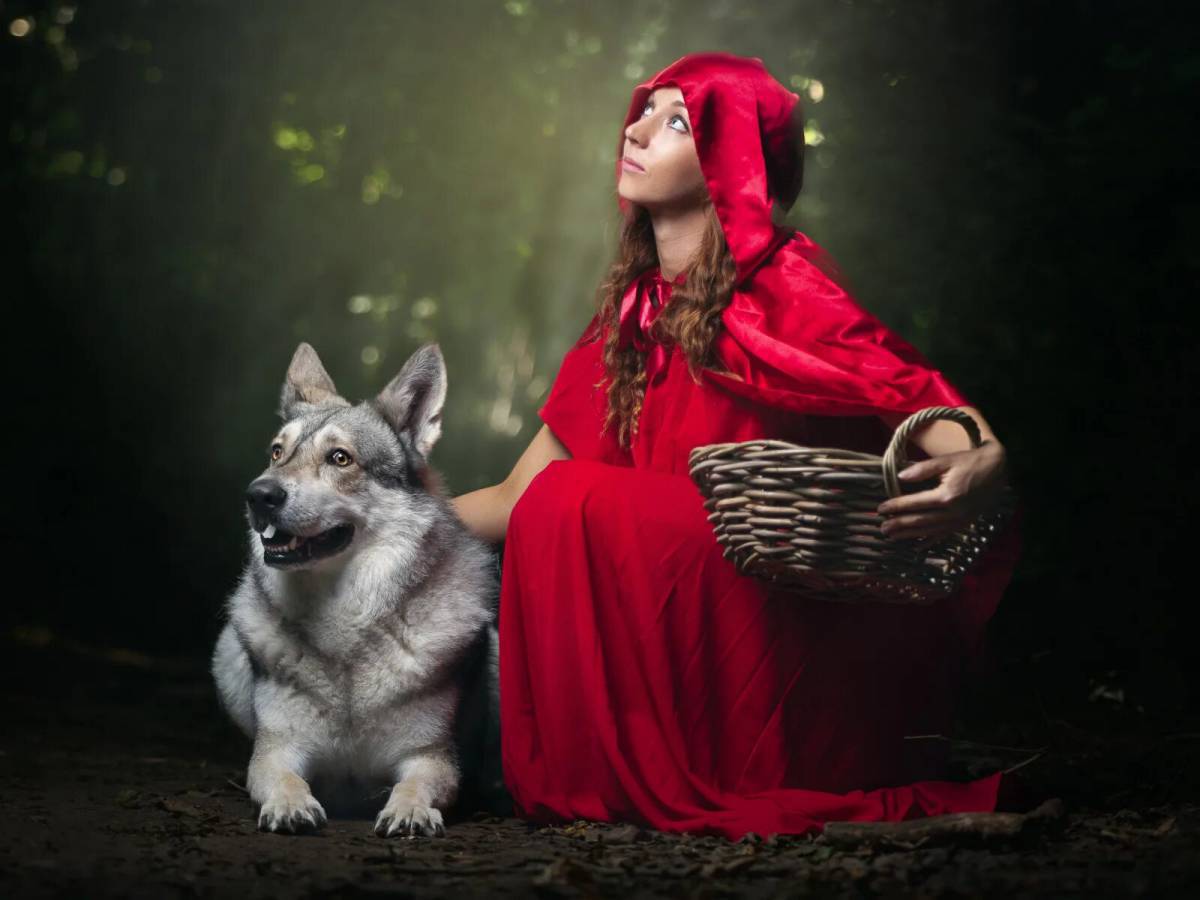 Волк и красная шапочка #30
