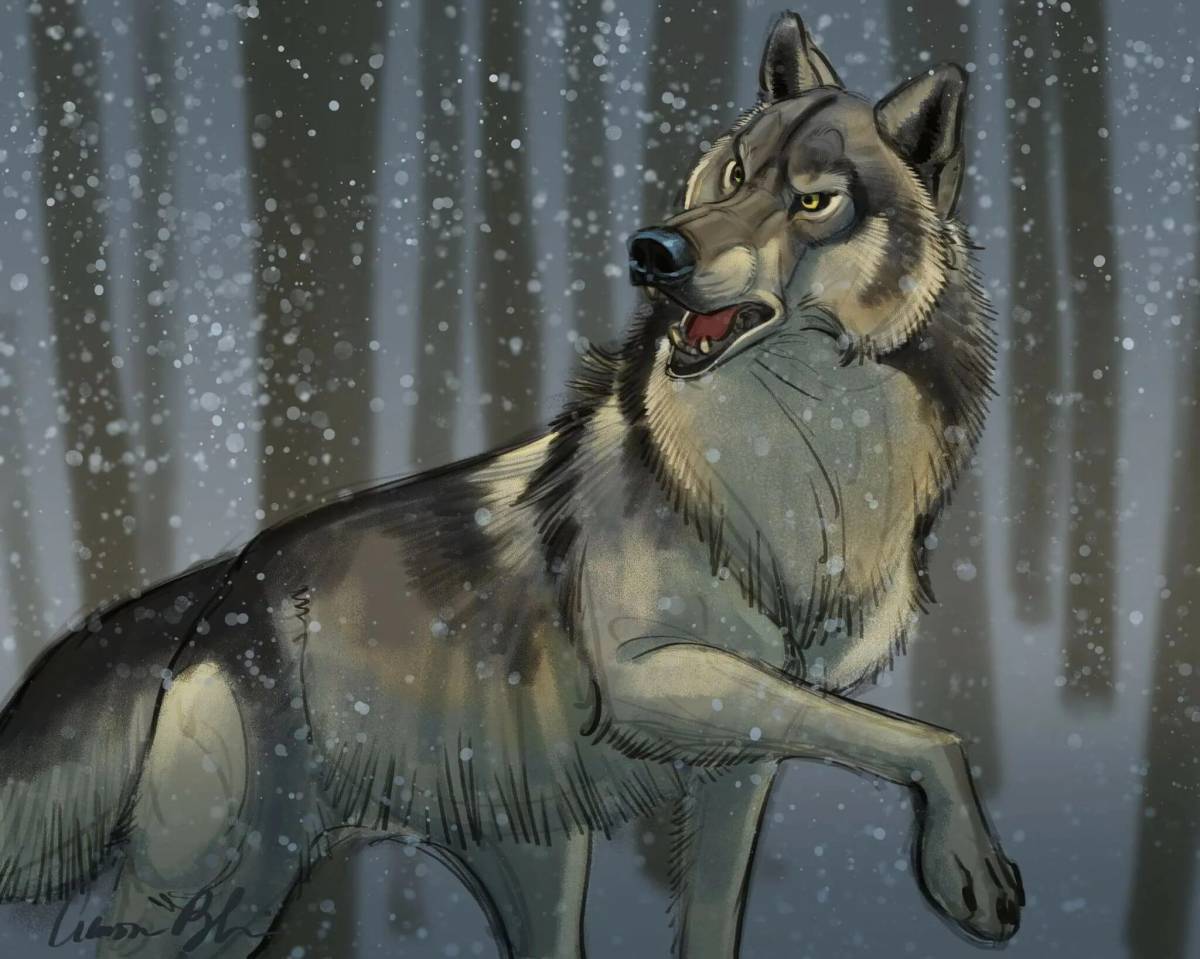 Волк из сказки #24
