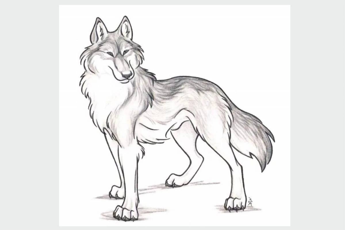 Волк рисунок #4