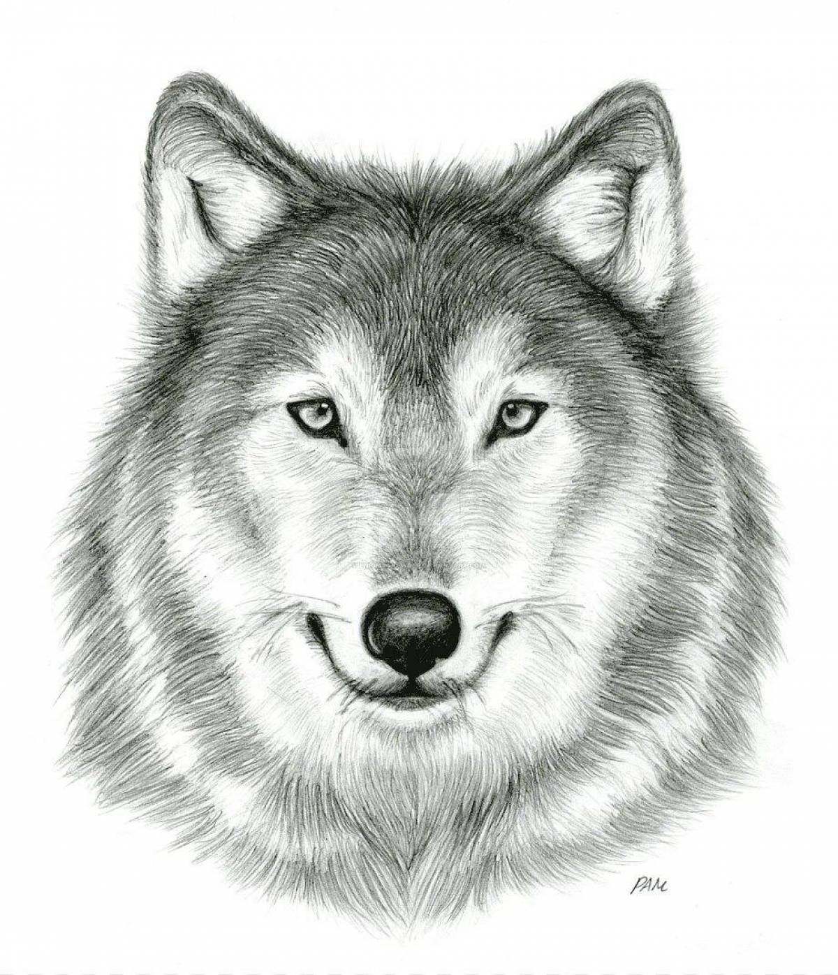 Волк рисунок #15