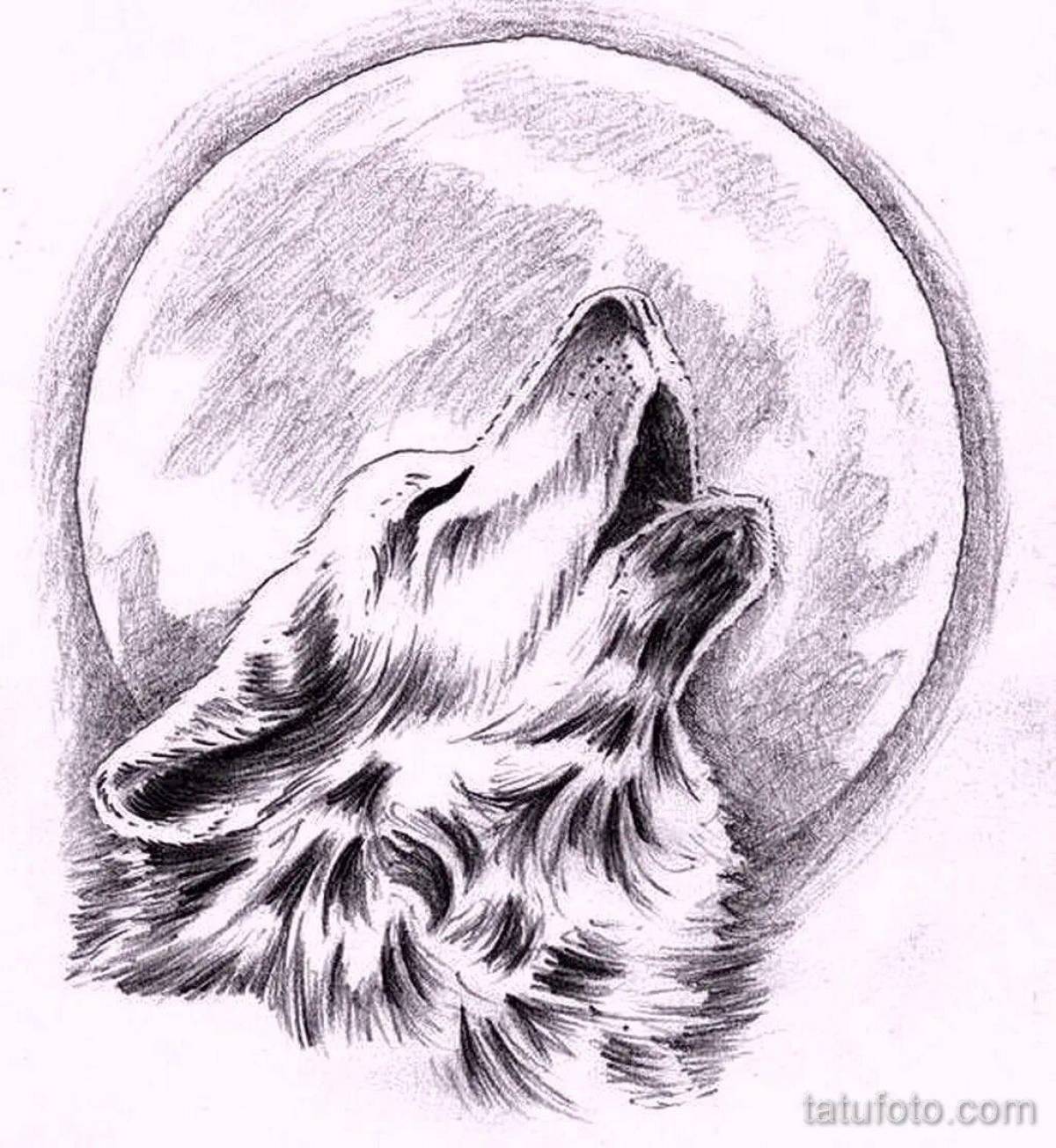 Волк рисунок #16