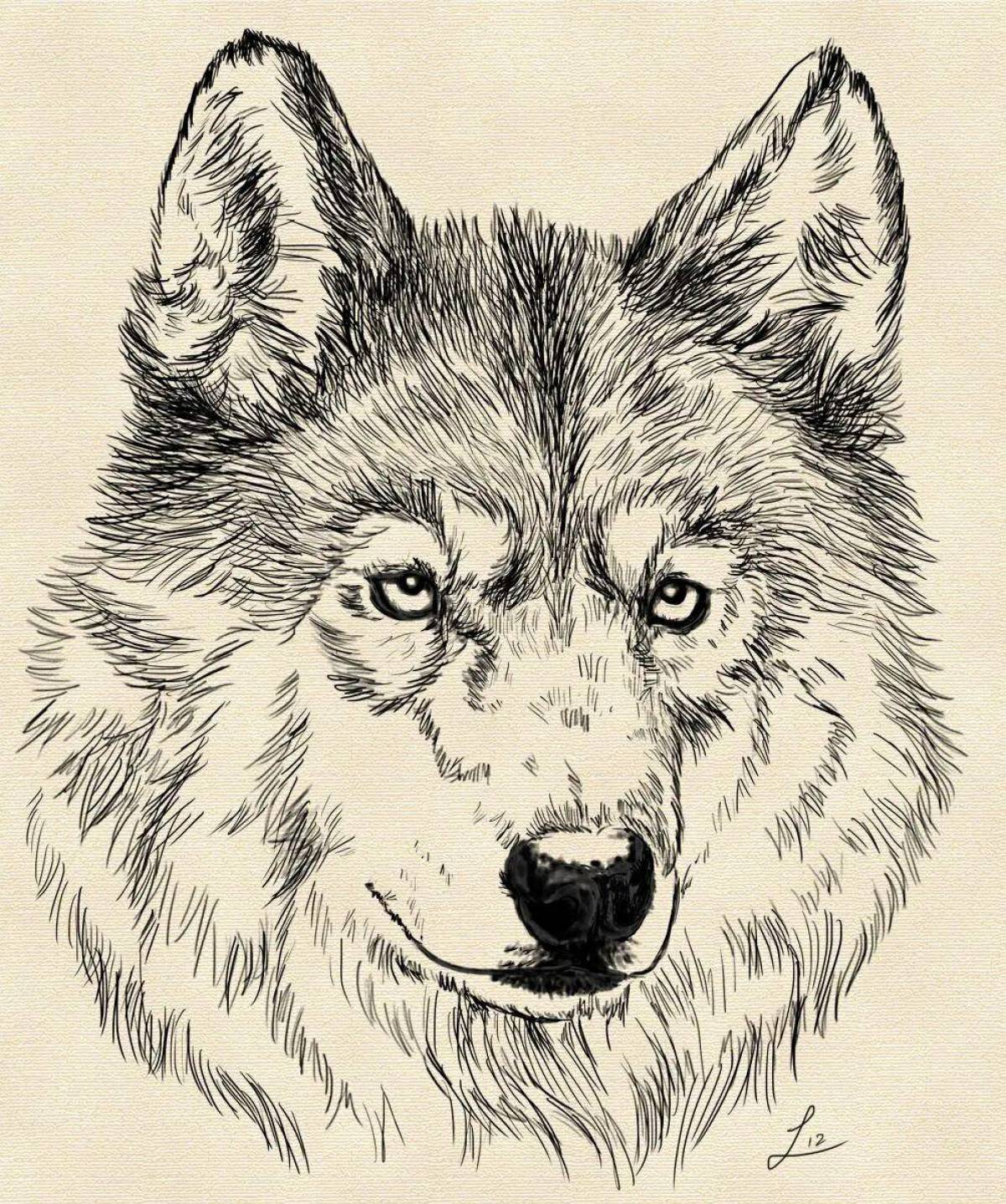 Волк рисунок #18