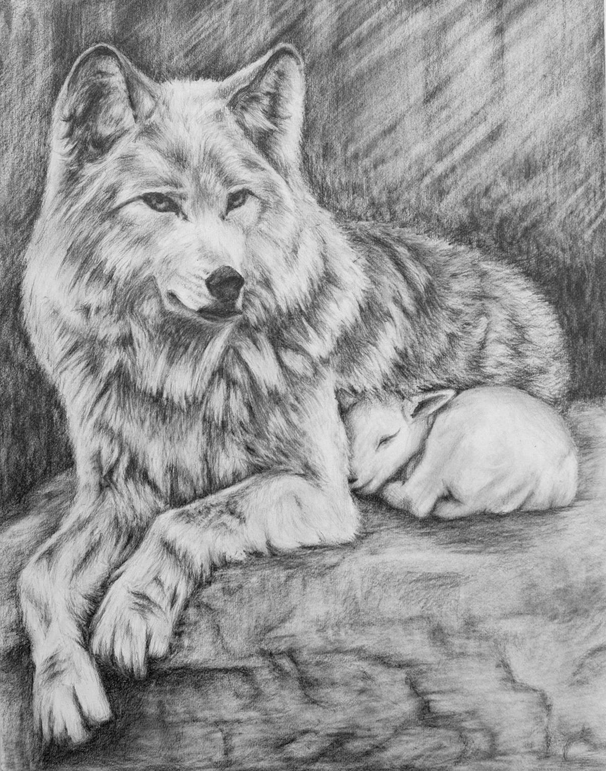 Волк рисунок #19