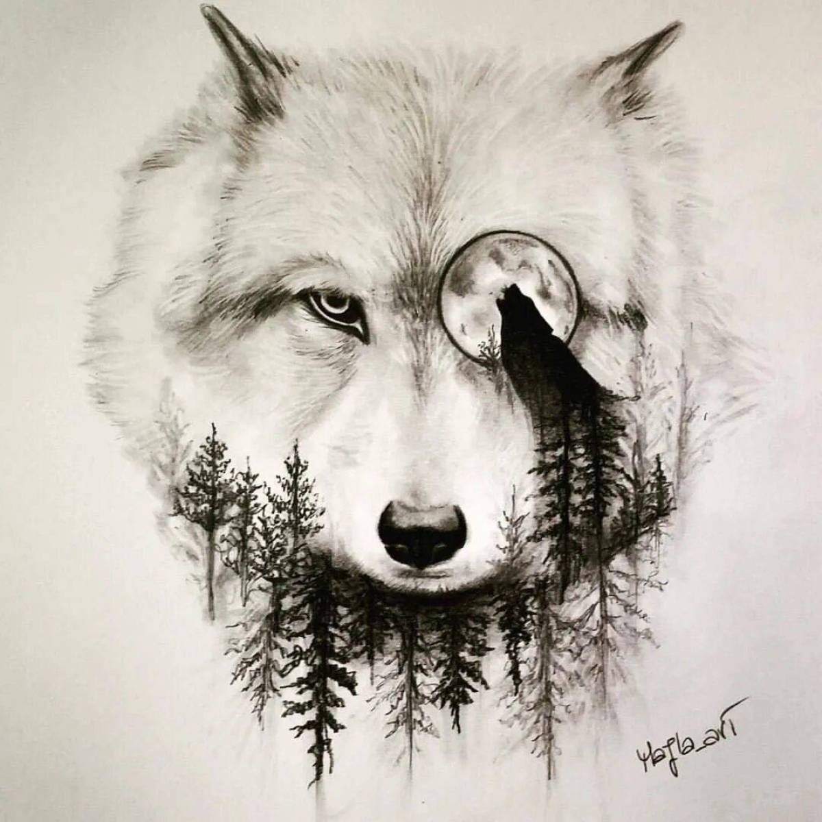 Волк рисунок #25