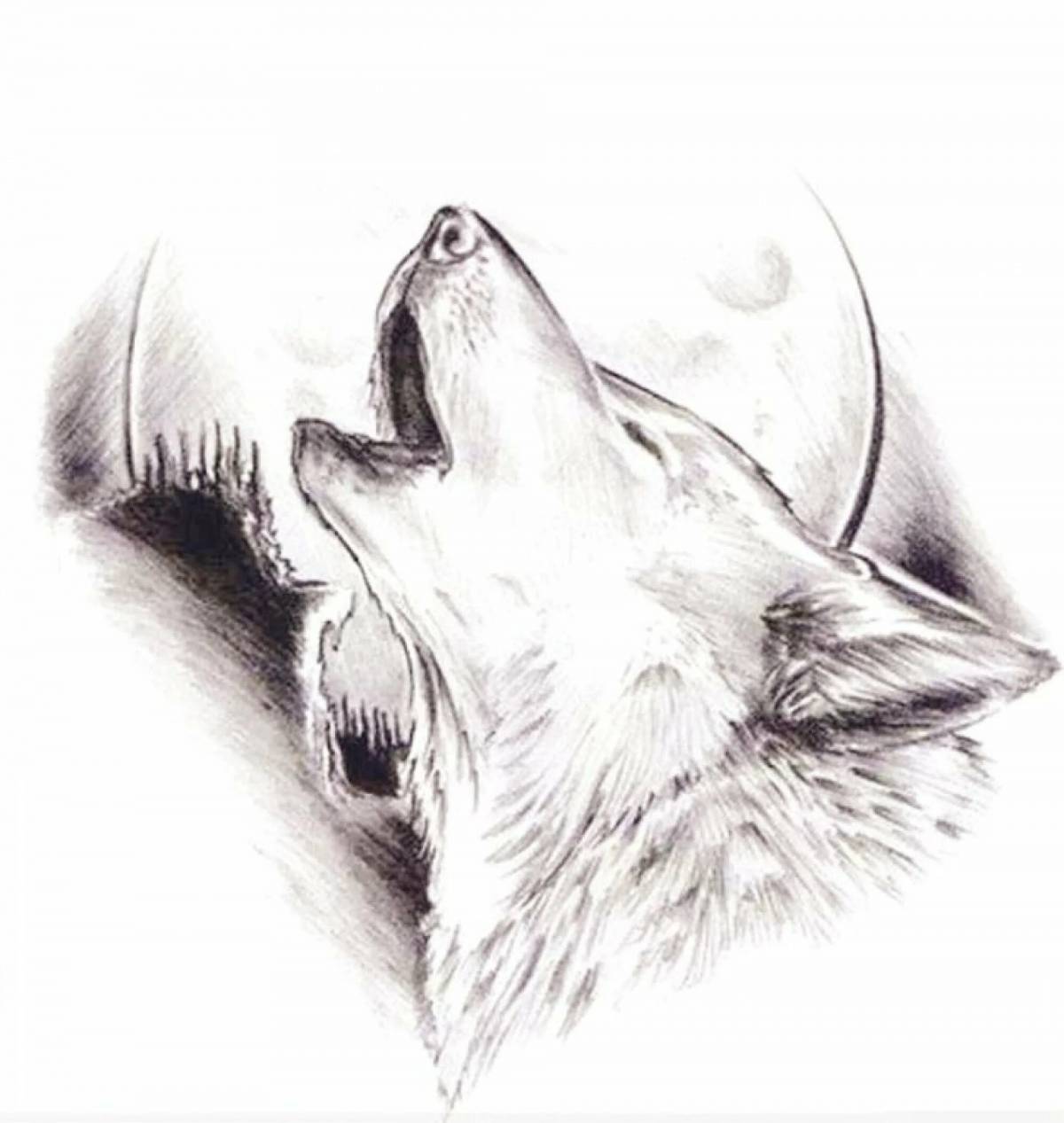 Волк рисунок #28