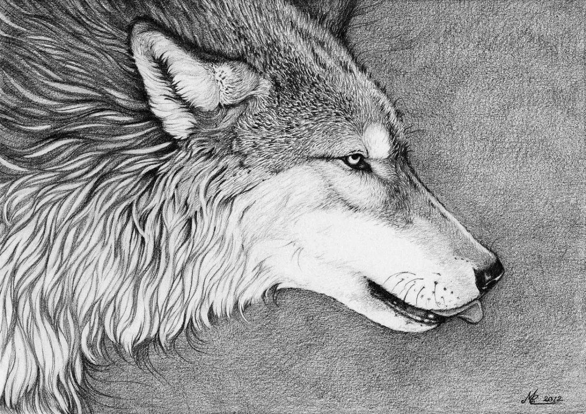 Волк рисунок #30