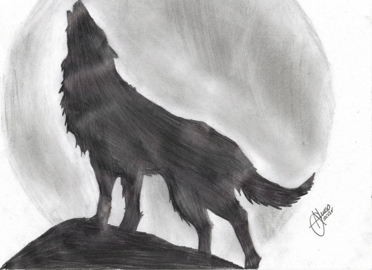 Волк рисунок #38