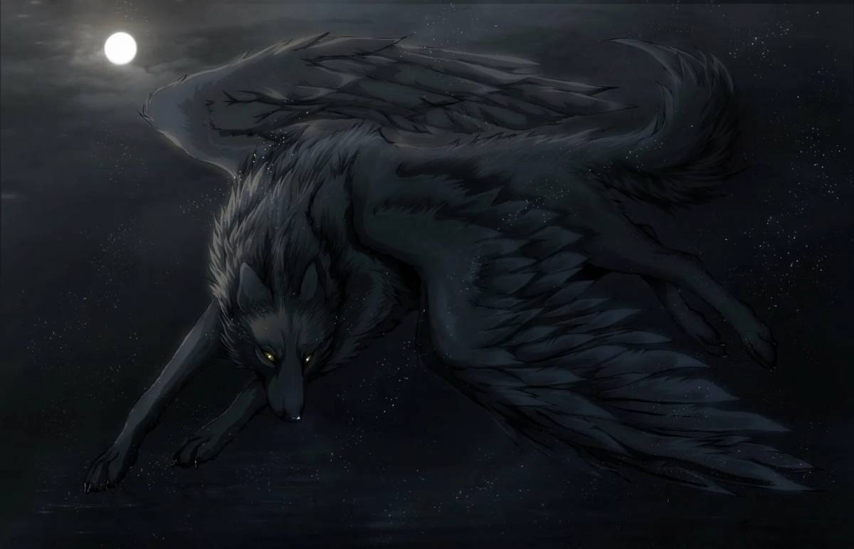 Волк с крыльями #14