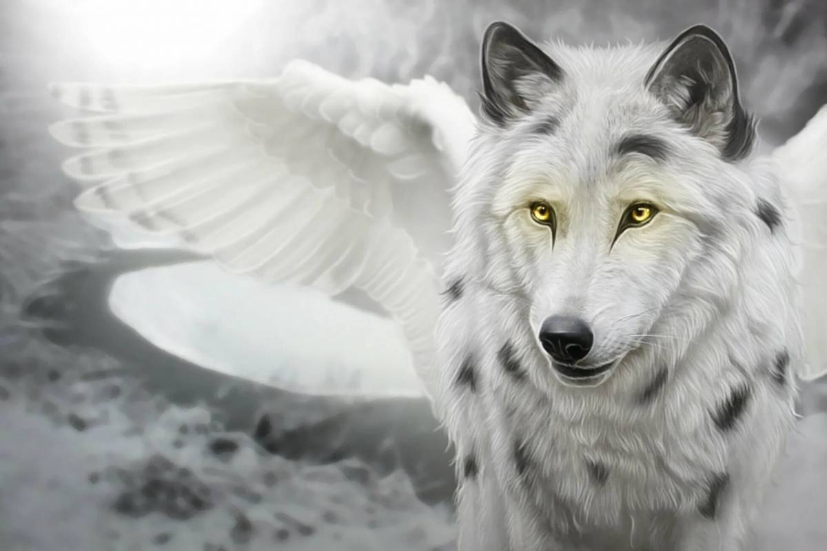 Волк с крыльями #21