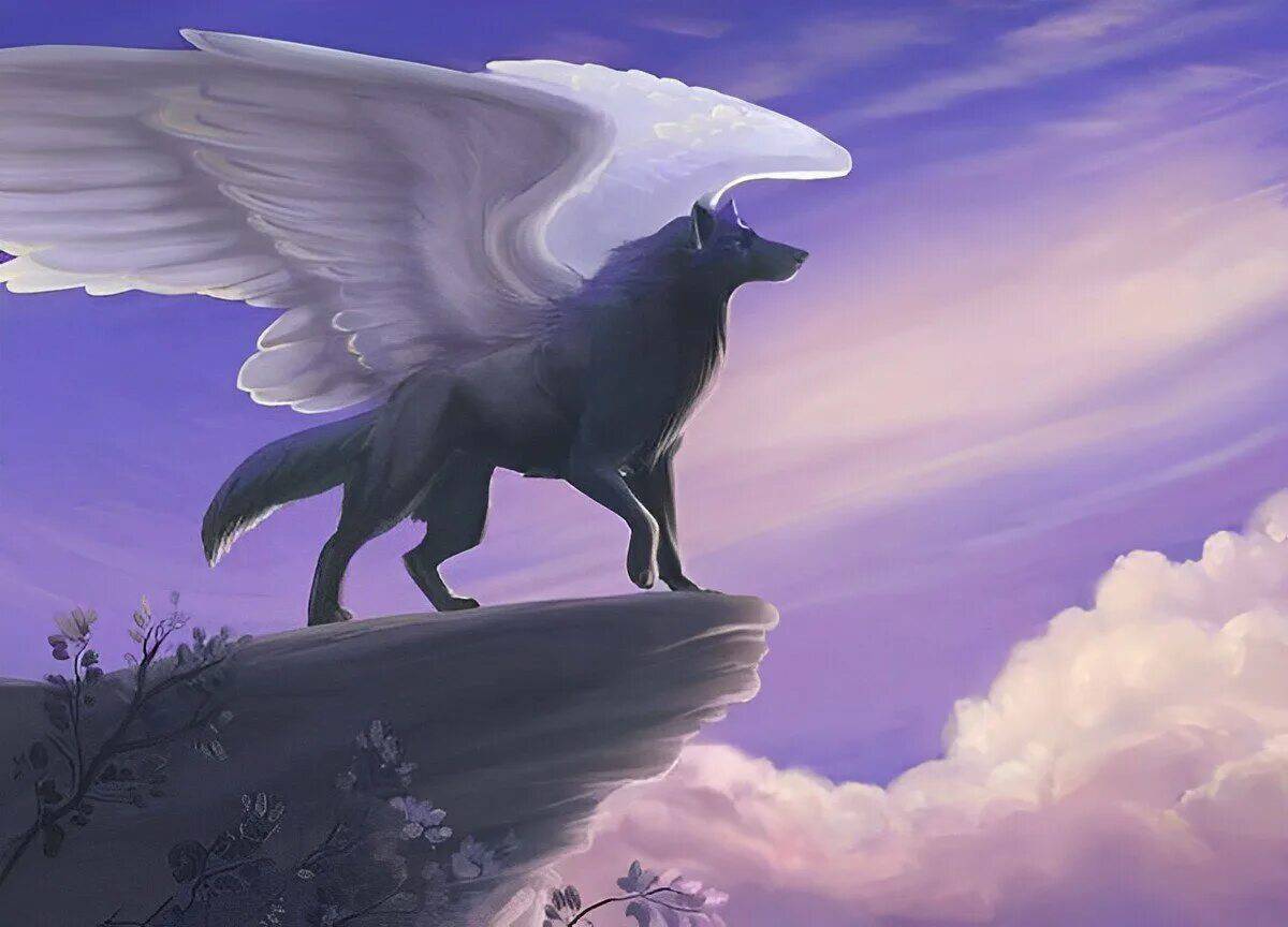 Волк с крыльями #27
