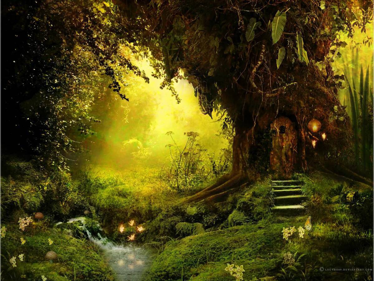 Волшебный лес #2