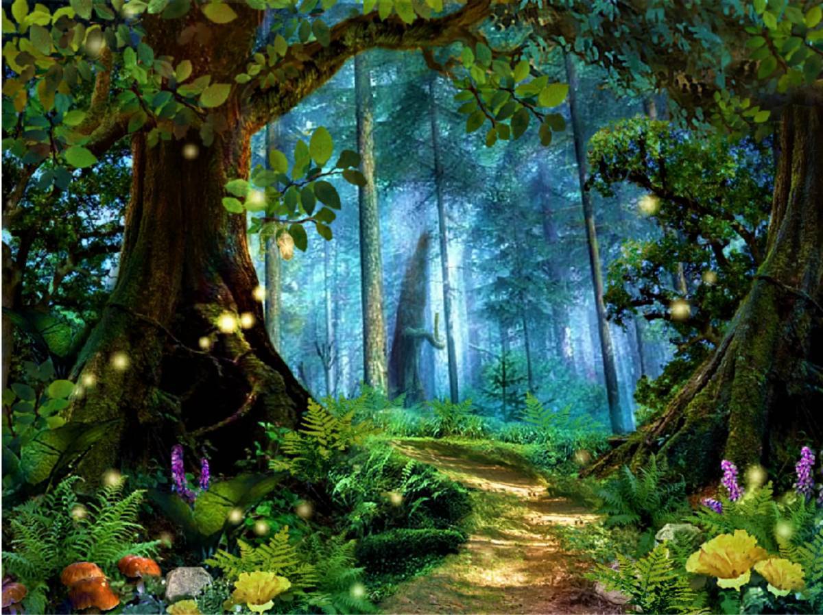 Волшебный лес #7