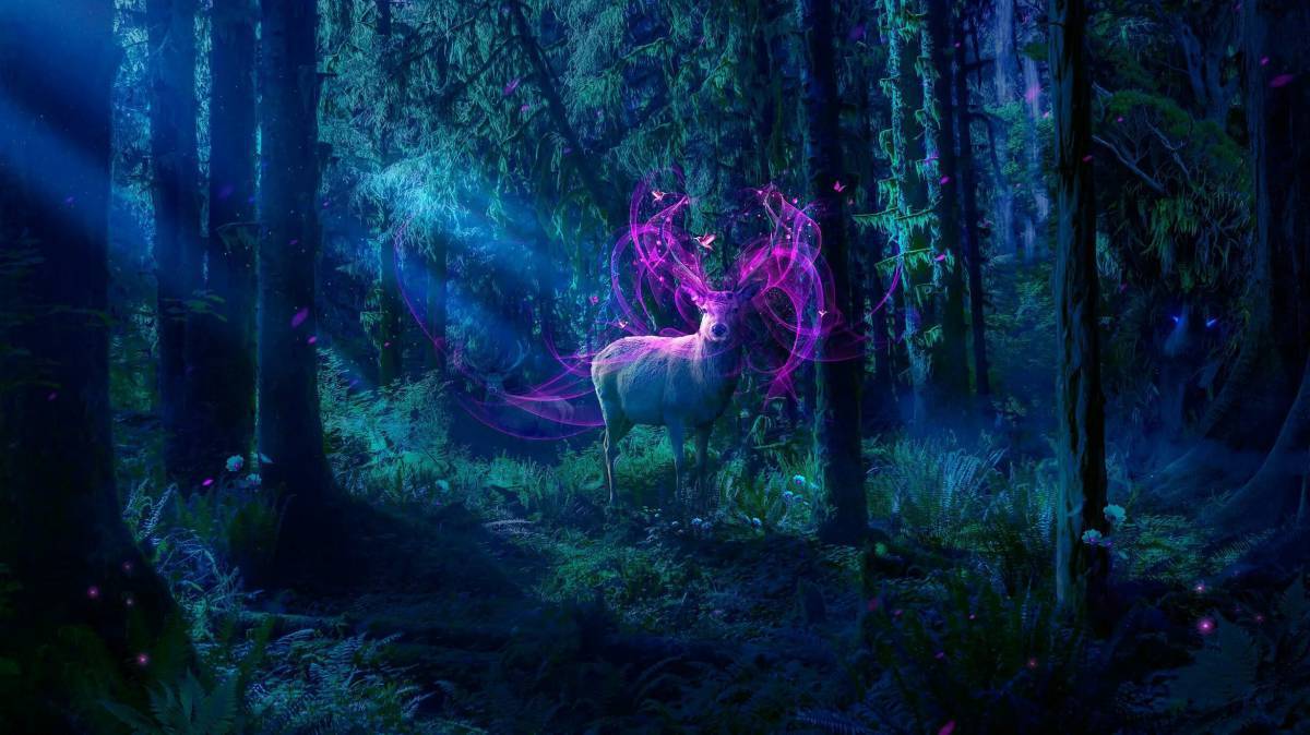 Волшебный лес #8