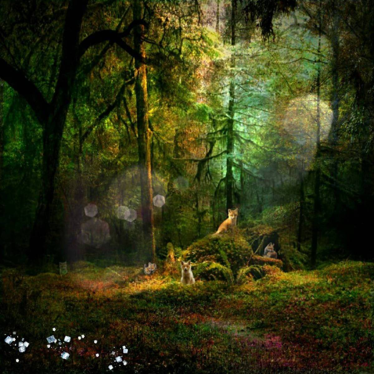 Волшебный лес #11
