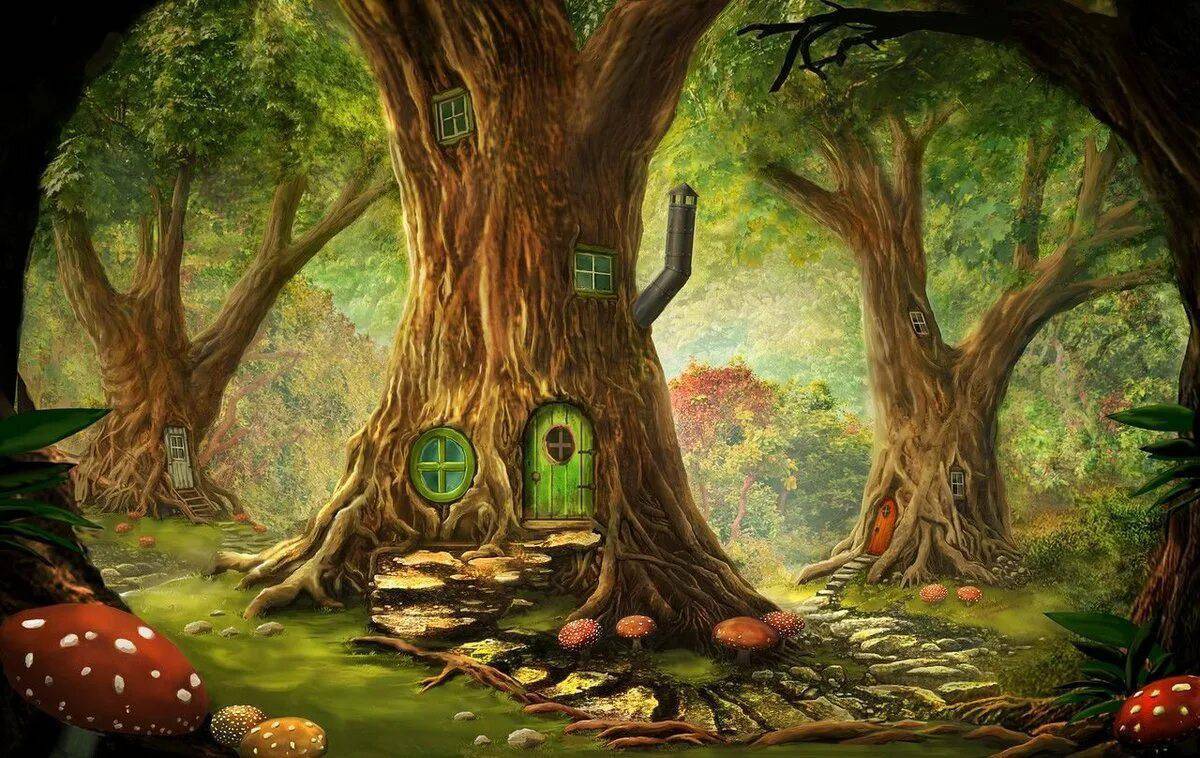 Волшебный лес #14