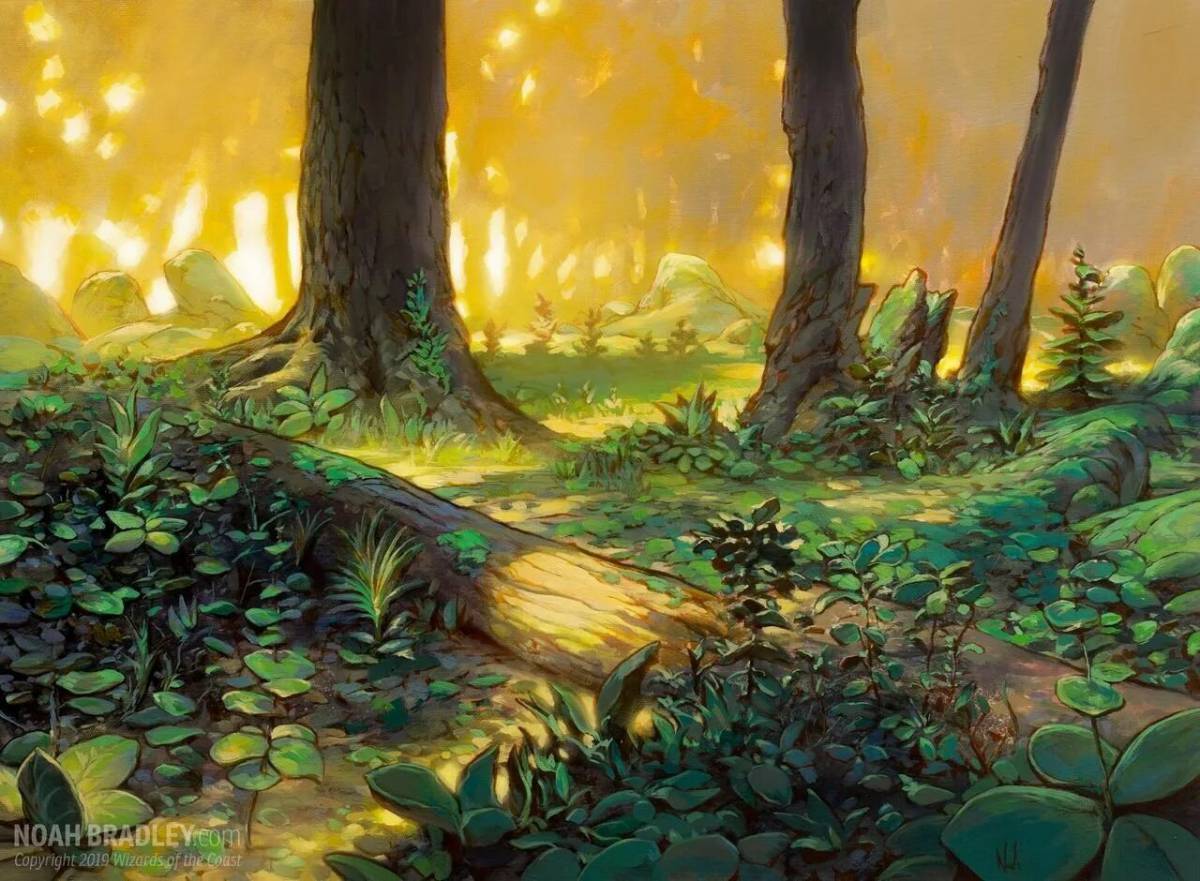 Волшебный лес #26