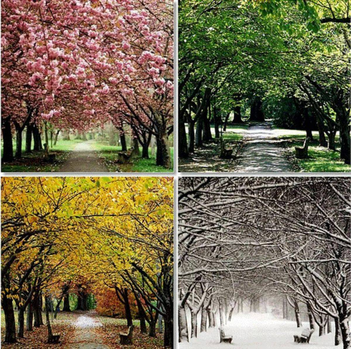 Winter spring. Зима,Весна,лето,осень. Времена года. Пейзаж по временам года. Пейзаж в четырёх времени года.