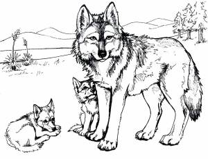Раскраска волк для детей 3 4 лет #29 #240681