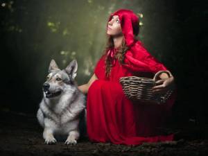 Раскраска волк и красная шапочка #30 #240869