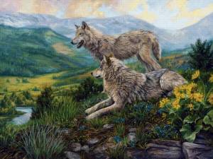 Раскраска волк по номерам #18 #241050