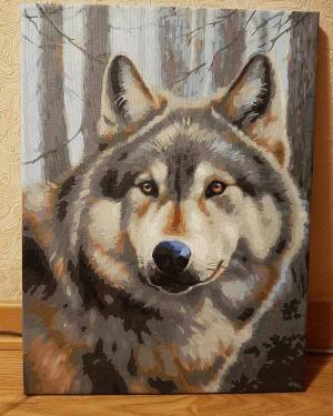 Раскраска волк по номерам #20 #241052