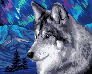 Раскраска волк по номерам #24 #241056