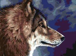 Раскраска волк по номерам #25 #241057