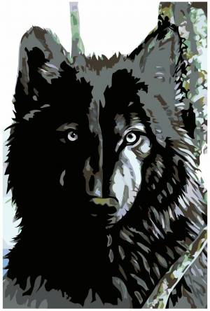Раскраска волк по номерам #27 #241059