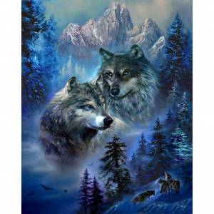 Раскраска волк по номерам #31 #241063