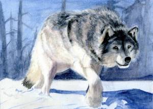 Раскраска волк рисунок #3 #241107