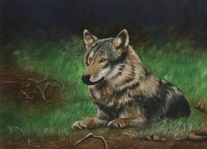 Раскраска волк рисунок #6 #241110