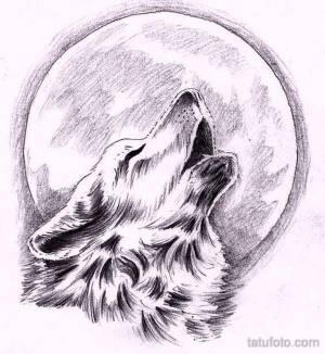 Раскраска волк рисунок #16 #241120