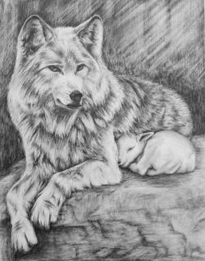 Раскраска волк рисунок #19 #241123