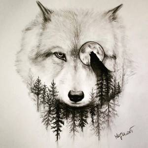 Раскраска волк рисунок #25 #241129