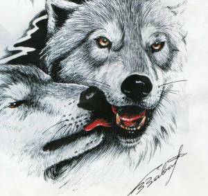 Раскраска волк рисунок #27 #241131