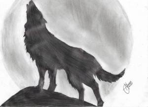 Раскраска волк рисунок #38 #241142