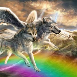 Раскраска волк с крыльями #6 #241149